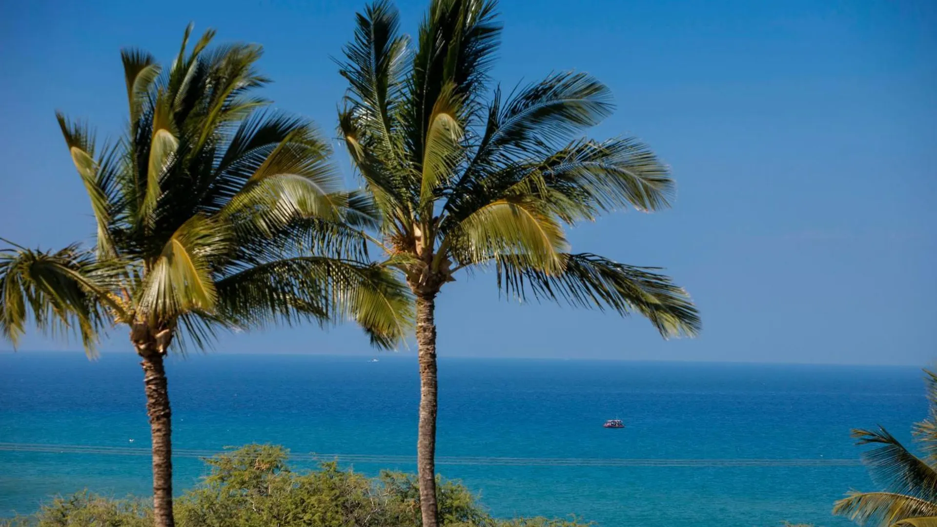 Vila Maui Kamaole I111 - Mch Kihei Prázdninový dům